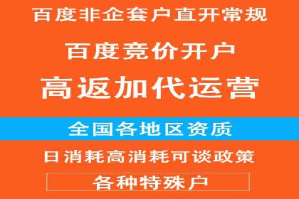 百度竞价排名：从失败到成功的转型案例